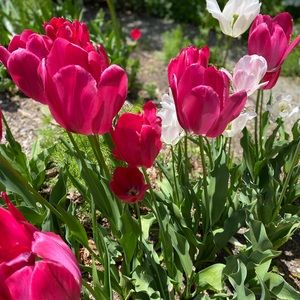 Meet your Posher, Hayley